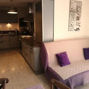  Appartement D'annecy T2 Grand Jardin